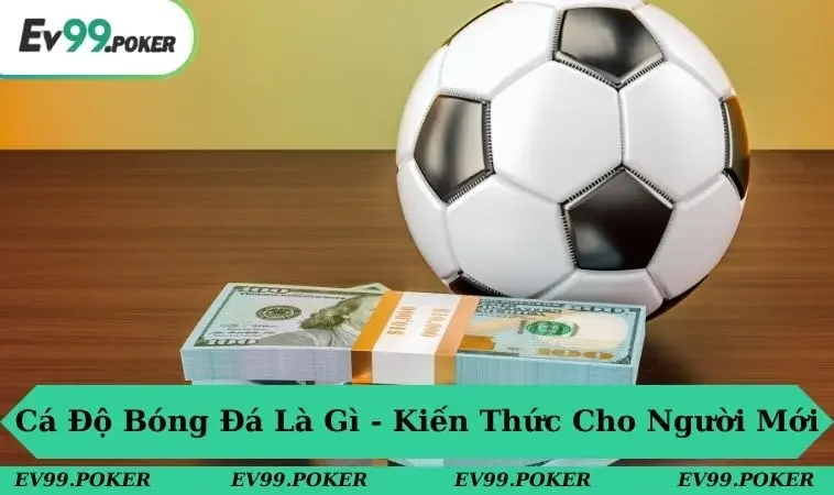 Cá độ bóng đá là gì